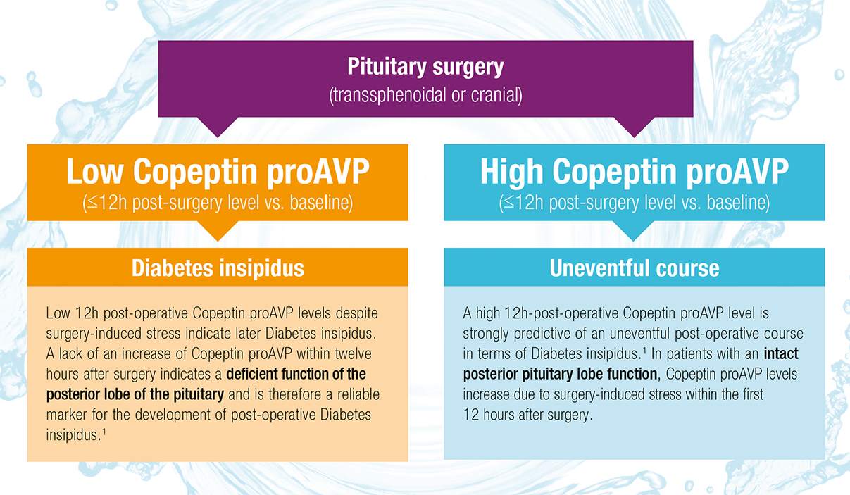 Low 12h post-operative Copeptin proAVP levels despite surgery-induced stress indicate later Diabetes insipidus. A lack of an increase of Copeptin proAVP within twelve hours after surgery indicates a deficient function of the posterior lobe of the pituitary and is therefore a reliable marker for the development of post-operative Diabetes insipidus. Ref-1 A high 12h-post-operative Copeptin proAVP level is strongly predictive of an uneventful post-operative course in terms of Diabetes insipidus. Ref-1 In patients with an intact posterior pituitary lobe function, Copeptin proAVP levels increase due to surgery-induced stress within the first 12 hours after surgery.