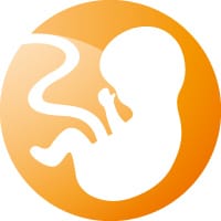 brahms-keyvisual-prenatal-screening-embryo